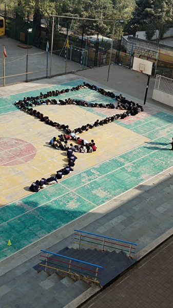 Makar Sankranti Celebration
